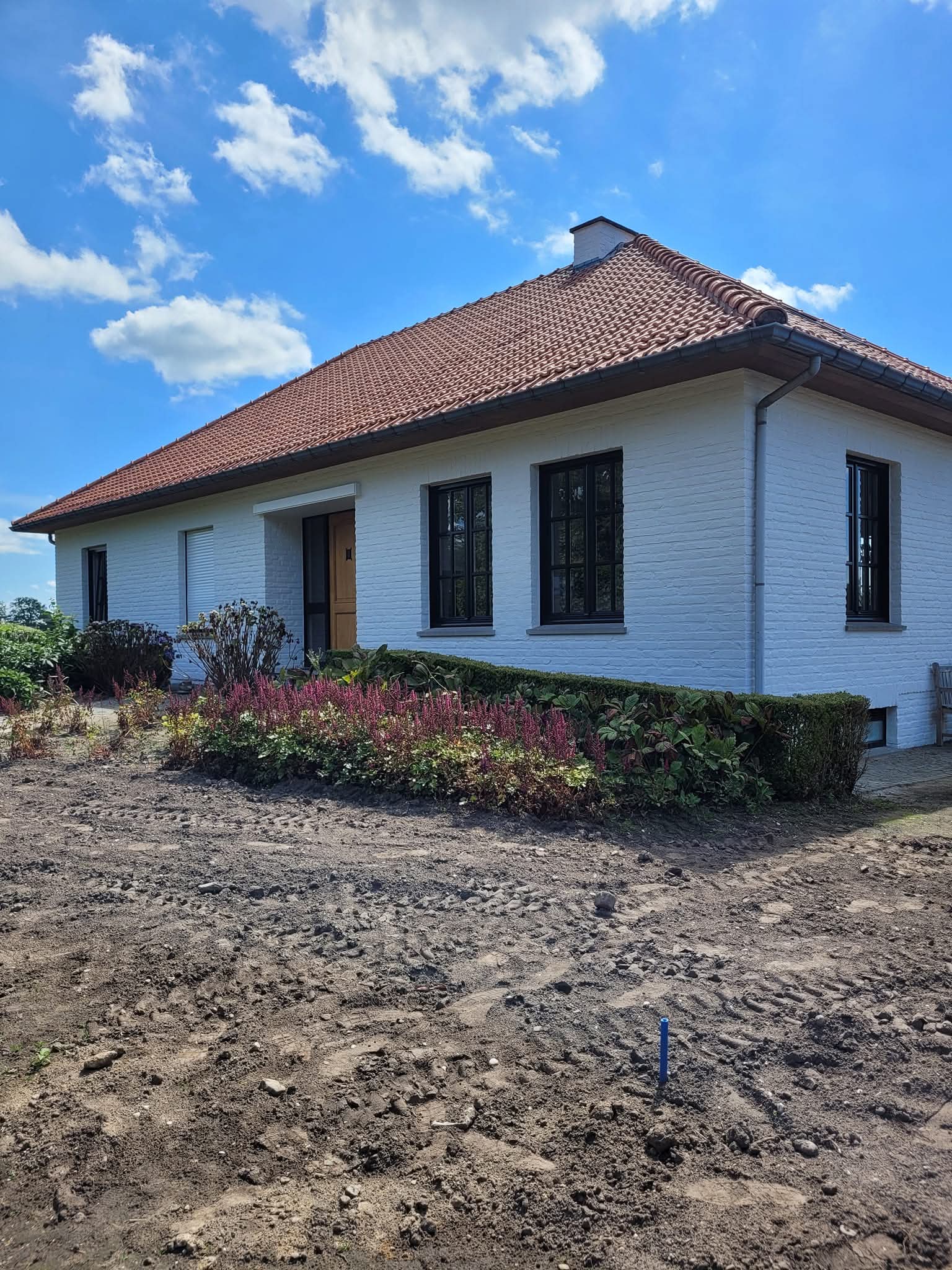 WhatsApp Image 2026-03-05 at 19.49.11 (4)